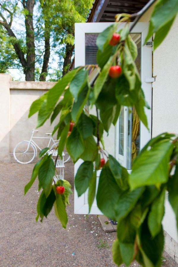 Ekonom-Domik Hotell Odessa Exteriör bild